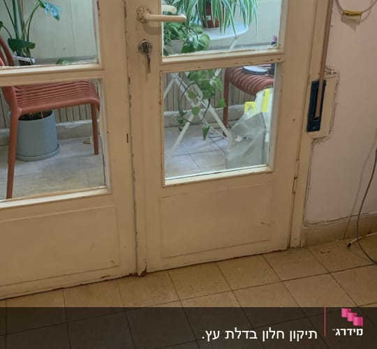 דלת זכוכית עם צמחים ברקע